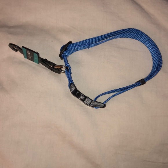 Shedrow K9 Blue Dog Collar | Large - Picture 2 of 2